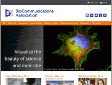 Tablet Screenshot of bca.org